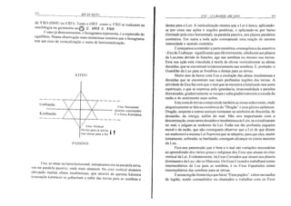 Exu o Grande Arcano - Rivas Neto