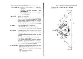 Exu o Grande Arcano - Rivas Neto