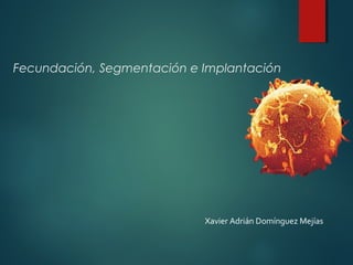 Fecundación, Segmentación e Implantación
Xavier Adrián Domínguez Mejías
 