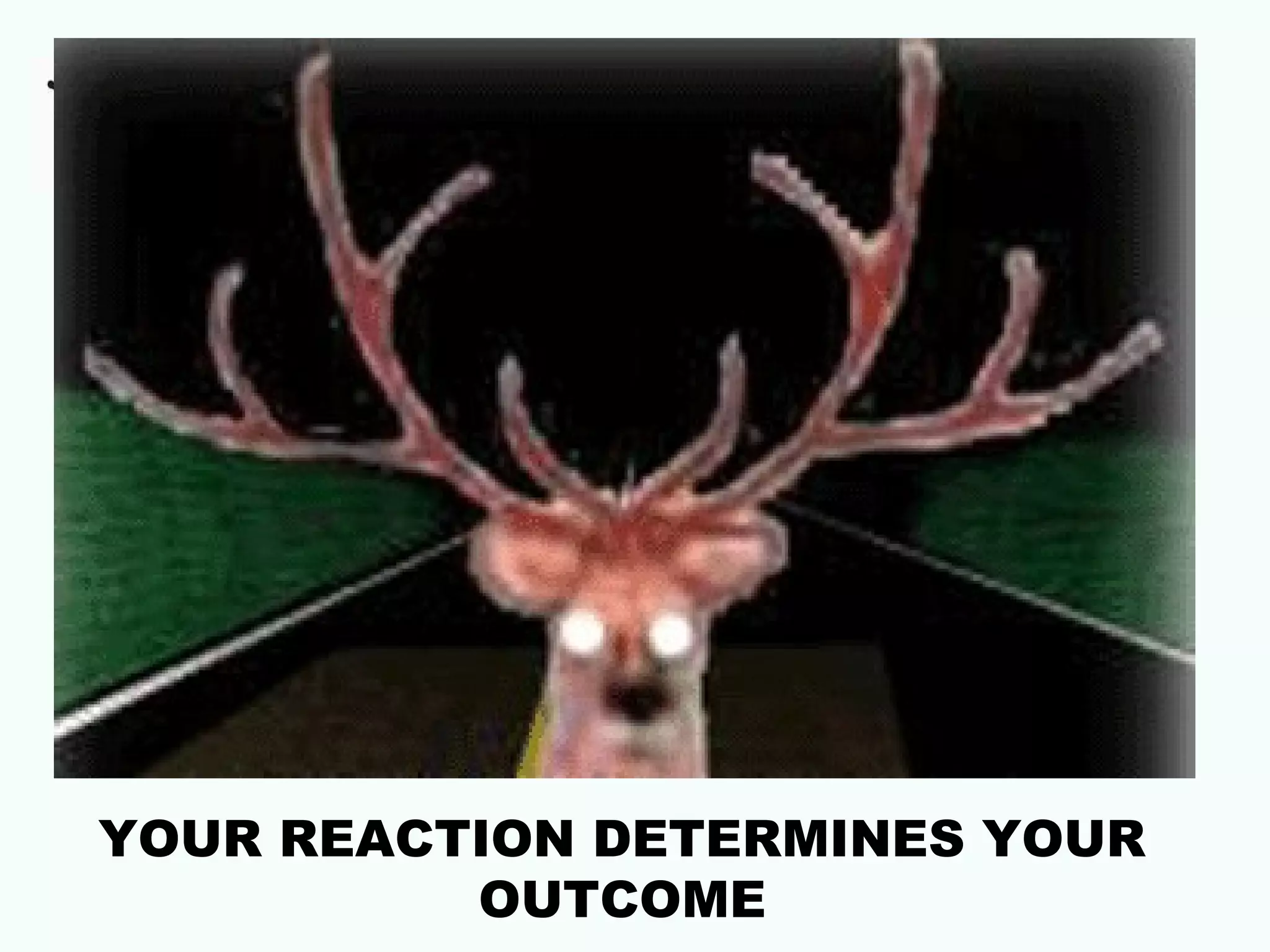 YOUR REACTION DETERMINES YOUR
OUTCOME

 