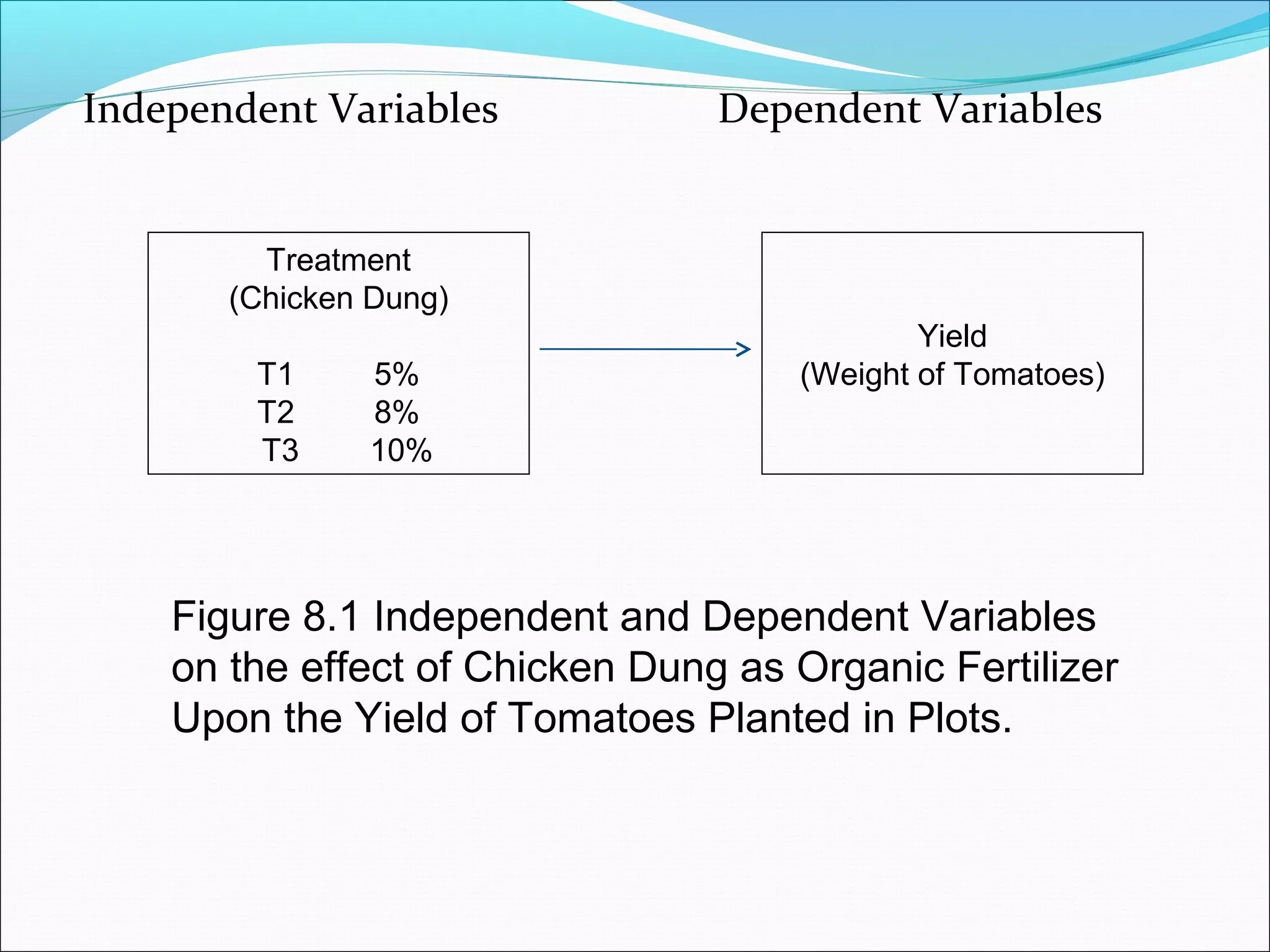 Independent Variables Dependent Variables
Treatment
(Chicken Dung)
T1 5%
T2 8%
T3 10%
Yield
(Weight of Tomatoes)
Figure 8.1 Independent and Dependent Variables
on the effect of Chicken Dung as Organic Fertilizer
Upon the Yield of Tomatoes Planted in Plots.
 