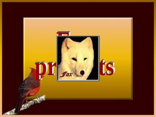 Fox presents 