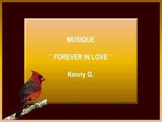 MUSIQUE `` FOREVER IN LOVE `` Kenny G. 