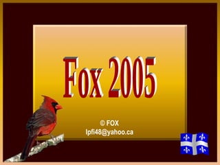 Fox 2005 ? FOX lpfi48@ yahoo.ca 