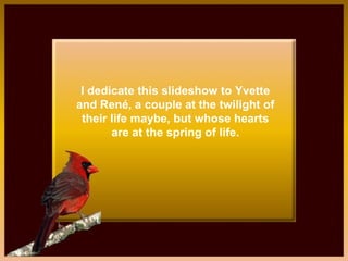 I dedicate this slideshow to Yvette and Ren, a couple at the twilight of their life maybe, but whose hearts are at the spring of life. 