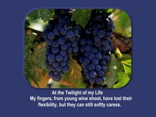 At the Twilight of my Life My fingers, from young wine shoot, have lost their flexibility, but they can still softly caress.   