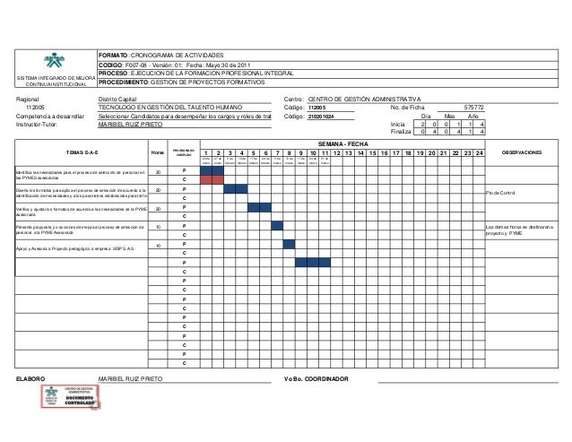 formatos de cronogramas de actividades