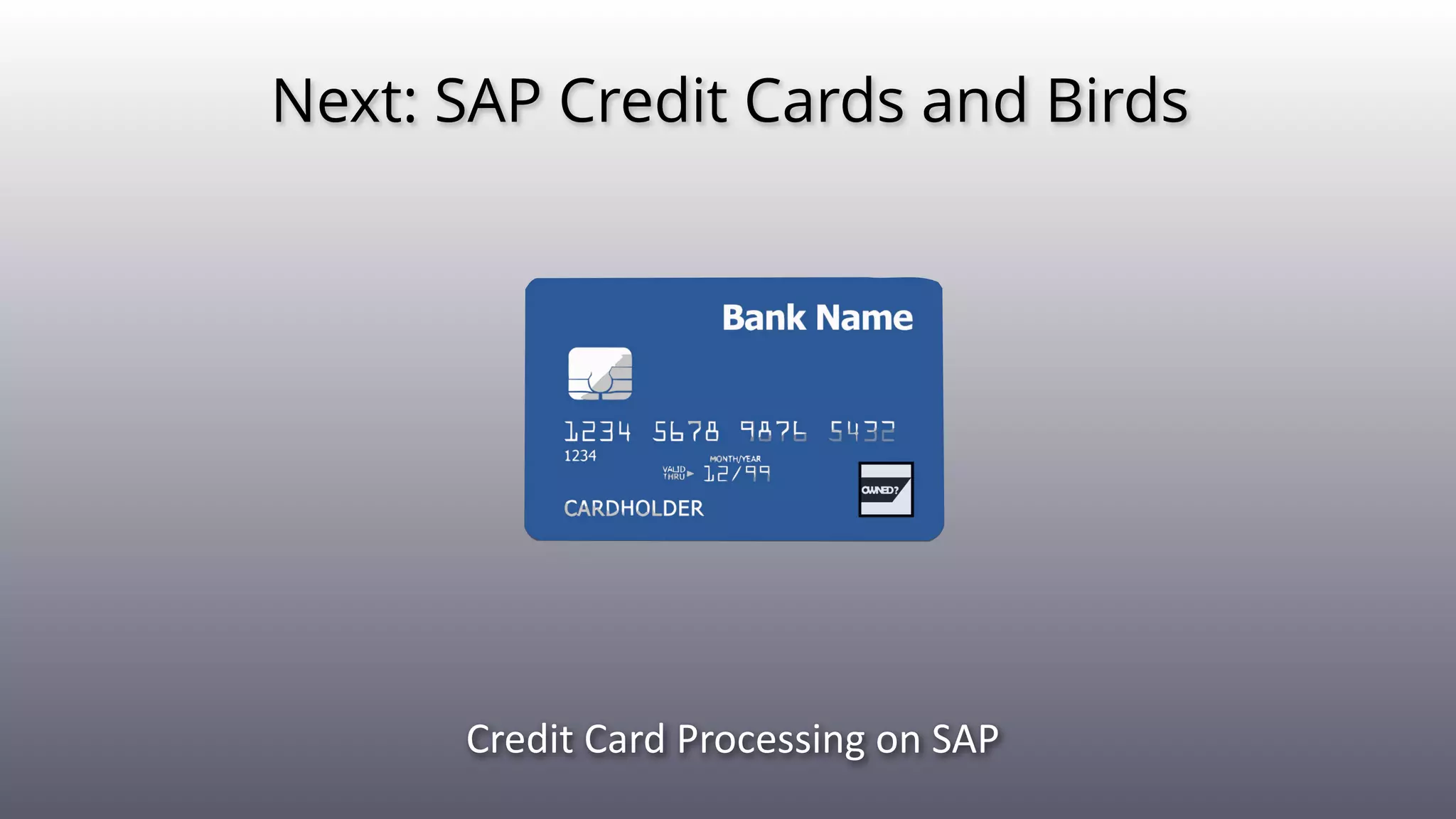 Next: SAP Credit Cards and Birds
Credit(Card(Processing(on(SAP
 