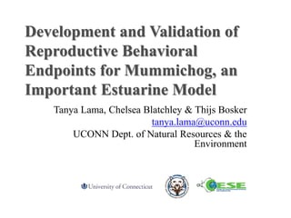 Development and Validation of
Reproductive Behavioral
Endpoints for Mummichog, an
Important Estuarine Model
Tanya Lama, Chelsea Blatchley & Thijs Bosker
tanya.lama@uconn.edu
UCONN Dept. of Natural Resources & the
Environment
 