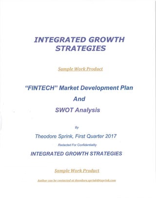 FinTech 2017 Marketing Plan & SWOT