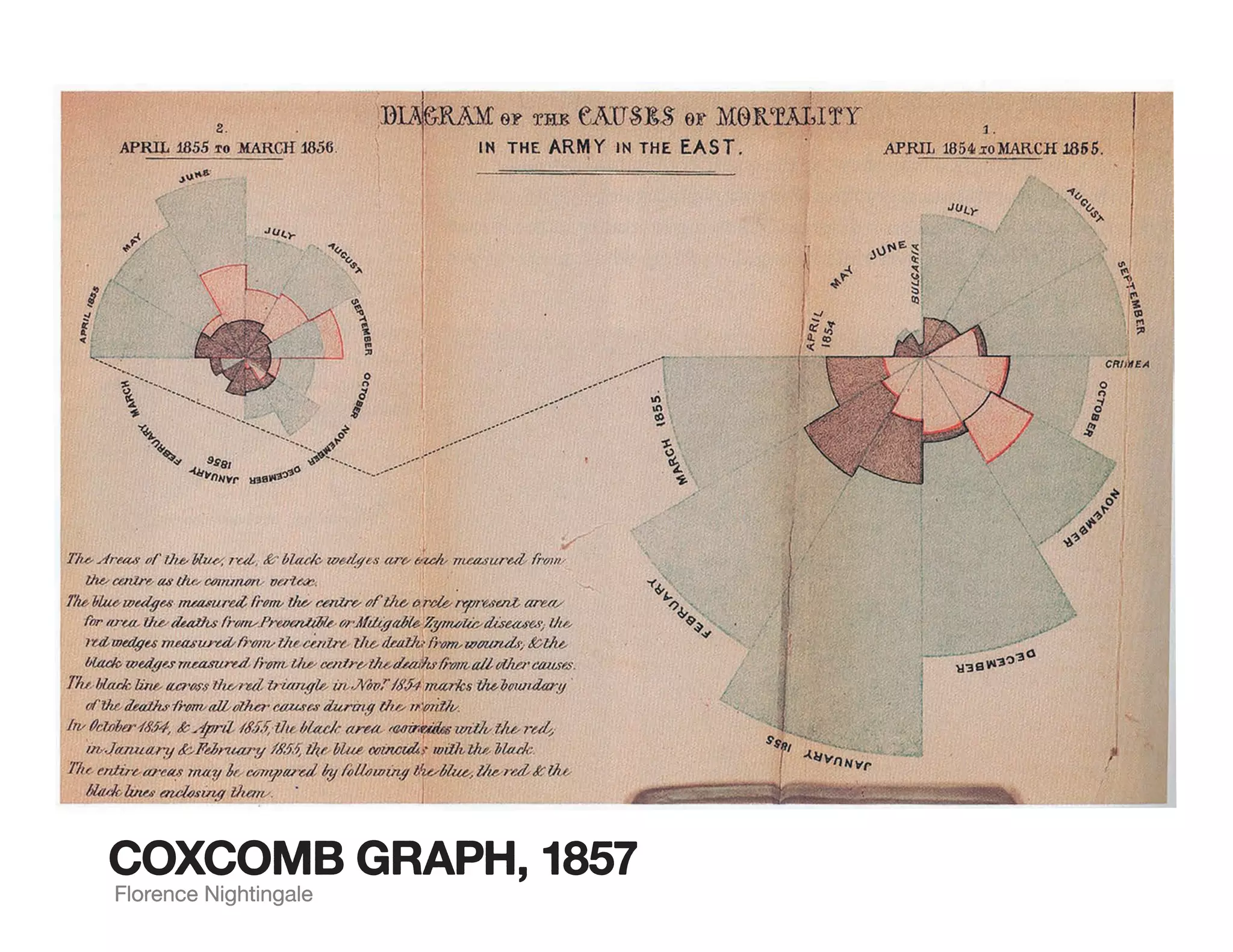 COXCOMB GRAPH, 1857
Florence Nightingale
 
