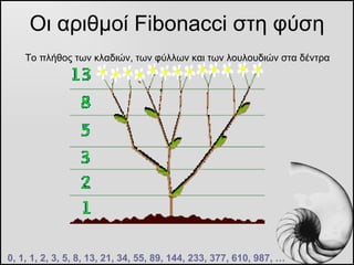 Οι αριθμοί  Fibonacci  στη φύση 0, 1, 1, 2, 3, 5, 8, 13, 21, 34, 55, 89, 144, 233, 377, 610, 987, … Το πλήθος των κλαδιών,...