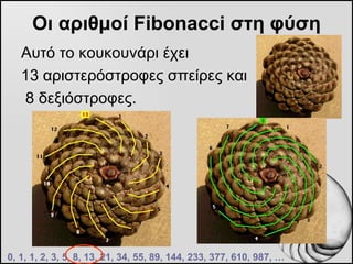 Οι αριθμοί  Fibonacci  στη φύση <ul><li>Αυτό το κουκουνάρι έχει  </li></ul><ul><li>13 αριστερόστροφες σπείρες και </li></u...