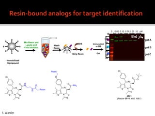 Immobilized
Compound
B
B
B
BB
B B
B
Rock2 160KD
Mix Resin and
Lysate and
Free Inhibitor
SDS
Strip Resin
Wash
Resin
I
I
I
I
I
I
B
B
B BB
B B
B
Gel
Immunoblot
or MS
0 30 100 300 1000 3000
Target A
Target B
Target C
but not
strong
but not
strong
98
62
49
188
38
28
0 0.05 0.10 0.50 1.00 10 mM
Brd 3/4
S.Warder
 