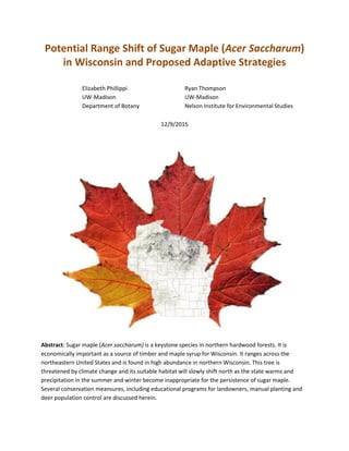 i
Potential Range Shift of Sugar Maple (Acer Saccharum)
in Wisconsin and Proposed Adaptive Strategies
Elizabeth Phillippi Ryan Thompson
UW-Madison UW-Madison
Department of Botany Nelson Institute for Environmental Studies
12/9/2015
Abstract: Sugar maple (Acer saccharum) is a keystone species in northern hardwood forests. It is
economically important as a source of timber and maple syrup for Wisconsin. It ranges across the
northeastern United States and is found in high abundance in northern Wisconsin. This tree is
threatened by climate change and its suitable habitat will slowly shift north as the state warms and
precipitation in the summer and winter become inappropriate for the persistence of sugar maple.
Several conservation meansures, including educational programs for landowners, manual planting and
deer population control are discussed herein.
 