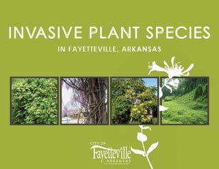 ASIVE PLANT SPECIESINVINV
IN FAYETTEVILLE, ARKANSAS
www.fayetteville-ar.gov
 