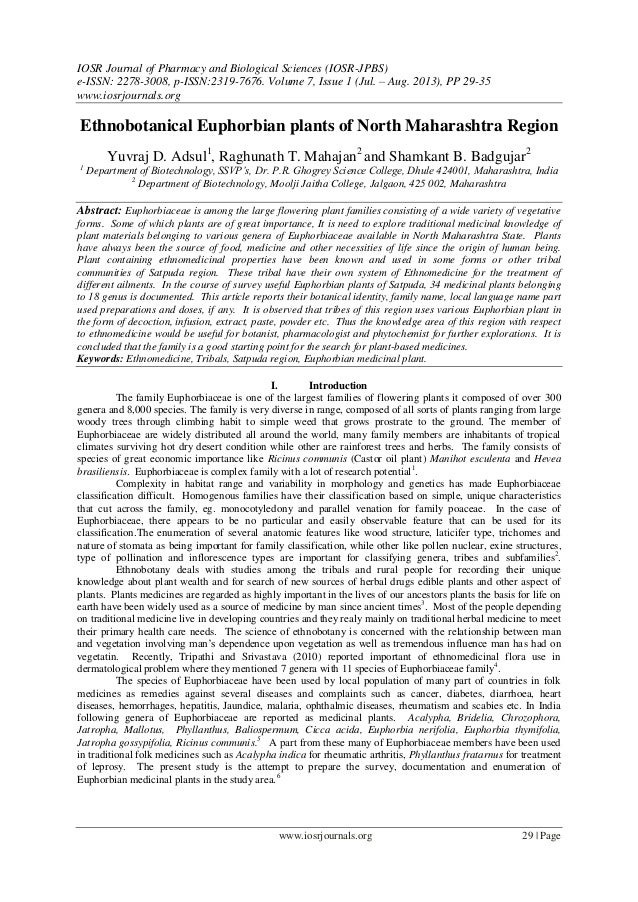 systematic review article forest plot