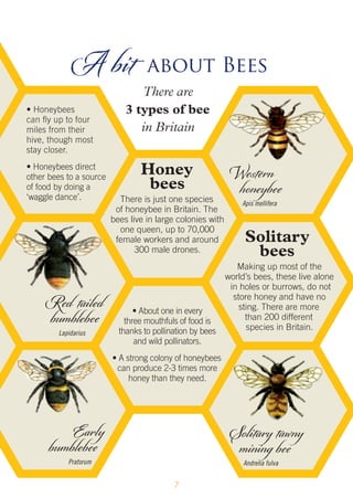 Little-Book-of-Bees-for-web | PDF