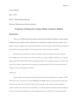 Comparison of Echolocation by Sperm Whales and Spinner Dolphins | PDF