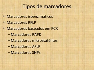 Tipos de marcadores
• Marcadores isoenzimáticos
• Marcadores RFLP
• Marcadores baseados em PCR
–Marcadores RAPD
–Marcadores microssatélites
–Marcadores AFLP
–Marcadores SNPs
 