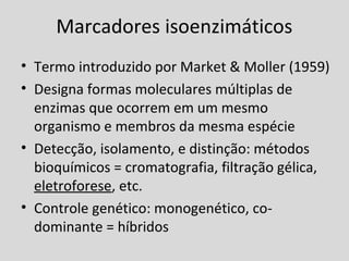 Marcadores isoenzimáticos
• Termo introduzido por Market & Moller (1959)
• Designa formas moleculares múltiplas de
enzimas que ocorrem em um mesmo
organismo e membros da mesma espécie
• Detecção, isolamento, e distinção: métodos
bioquímicos = cromatografia, filtração gélica,
eletroforese, etc.
• Controle genético: monogenético, co-
dominante = híbridos
 
