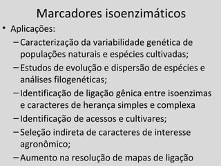 Marcadores isoenzimáticos
• Aplicações:
–Caracterização da variabilidade genética de
populações naturais e espécies cultivadas;
–Estudos de evolução e dispersão de espécies e
análises filogenéticas;
–Identificação de ligação gênica entre isoenzimas
e caracteres de herança simples e complexa
–Identificação de acessos e cultivares;
–Seleção indireta de caracteres de interesse
agronômico;
–Aumento na resolução de mapas de ligação
 