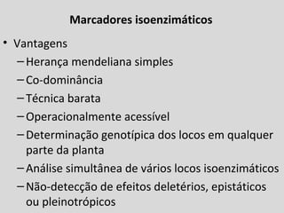 Marcadores isoenzimáticos
• Vantagens
–Herança mendeliana simples
–Co-dominância
–Técnica barata
–Operacionalmente acessível
–Determinação genotípica dos locos em qualquer
parte da planta
–Análise simultânea de vários locos isoenzimáticos
–Não-detecção de efeitos deletérios, epistáticos
ou pleinotrópicos
 