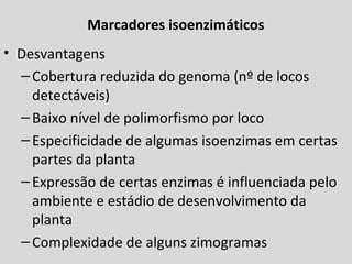 Marcadores isoenzimáticos
• Desvantagens
–Cobertura reduzida do genoma (nº de locos
detectáveis)
–Baixo nível de polimorfismo por loco
–Especificidade de algumas isoenzimas em certas
partes da planta
–Expressão de certas enzimas é influenciada pelo
ambiente e estádio de desenvolvimento da
planta
–Complexidade de alguns zimogramas
 