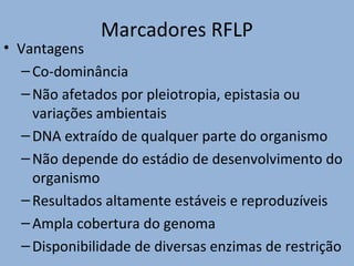Marcadores RFLP
• Vantagens
–Co-dominância
–Não afetados por pleiotropia, epistasia ou
variações ambientais
–DNA extraído de qualquer parte do organismo
–Não depende do estádio de desenvolvimento do
organismo
–Resultados altamente estáveis e reproduzíveis
–Ampla cobertura do genoma
–Disponibilidade de diversas enzimas de restrição
 