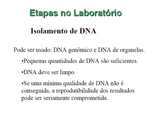 Marcadores SNPs
Vantagens
• Alta densidade no genoma
• Estáveis do ponto de vista
evolucionário
• Genotipagem dos SNPs não
se baseia na medida de
comprimento dos alelos
• Distinção dos alelos pode
ser automatizada
• Taxa de mutação
relativamente baixa
Desvantagens
• Alto custo de
desenvolvimento e
genotipagem
 
