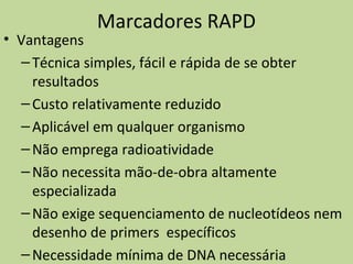 Marcadores RAPD
• Vantagens
–Técnica simples, fácil e rápida de se obter
resultados
–Custo relativamente reduzido
–Aplicável em qualquer organismo
–Não emprega radioatividade
–Não necessita mão-de-obra altamente
especializada
–Não exige sequenciamento de nucleotídeos nem
desenho de primers específicos
–Necessidade mínima de DNA necessária
 