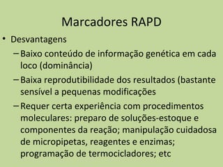 Marcadores RAPD
• Desvantagens
–Baixo conteúdo de informação genética em cada
loco (dominância)
–Baixa reprodutibilidade dos resultados (bastante
sensível a pequenas modificações
–Requer certa experiência com procedimentos
moleculares: preparo de soluções-estoque e
componentes da reação; manipulação cuidadosa
de micropipetas, reagentes e enzimas;
programação de termocicladores; etc
 