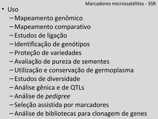 Marcadores microssatélites - SSR
• Uso
–Mapeamento genômico
–Mapeamento comparativo
–Estudos de ligação
–Identificação de genótipos
–Proteção de variedades
–Avaliação de pureza de sementes
–Utilização e conservação de germoplasma
–Estudos de diversidade
–Análise gênica e de QTLs
–Análise de pedigree
–Seleção assistida por marcadores
–Análise de bibliotecas para clonagem de genes
 