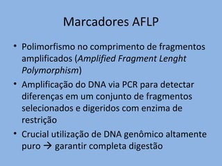 Marcadores AFLP
• Polimorfismo no comprimento de fragmentos
amplificados (Amplified Fragment Lenght
Polymorphism)
• Amplificação do DNA via PCR para detectar
diferenças em um conjunto de fragmentos
selecionados e digeridos com enzima de
restrição
• Crucial utilização de DNA genômico altamente
puro  garantir completa digestão
 