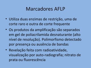 Marcadores AFLP
• Utiliza duas enzimas de restrição, uma de
corte raro e outra de corte frequente
• Os produtos da amplificação são separados
em gel de poliacrilamida desnaturante (alto
nível de resolução). Polimorfismo detectado
por presença ou ausência de bandas
• Revelação feita com radioatividade,
visualização por auto-radiografia; nitrato de
prata ou fluorescência
 