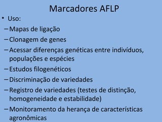 Marcadores AFLP
• Uso:
–Mapas de ligação
–Clonagem de genes
–Acessar diferenças genéticas entre indivíduos,
populações e espécies
–Estudos filogenéticos
–Discriminação de variedades
–Registro de variedades (testes de distinção,
homogeneidade e estabilidade)
–Monitoramento da herança de características
agronômicas
 
