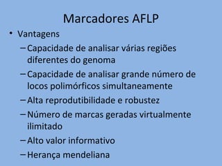 Marcadores AFLP
• Vantagens
–Capacidade de analisar várias regiões
diferentes do genoma
–Capacidade de analisar grande número de
locos polimórficos simultaneamente
–Alta reprodutibilidade e robustez
–Número de marcas geradas virtualmente
ilimitado
–Alto valor informativo
–Herança mendeliana
 