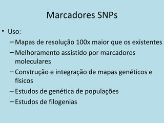 Marcadores SNPs
• Uso:
–Mapas de resolução 100x maior que os existentes
–Melhoramento assistido por marcadores
moleculares
–Construção e integração de mapas genéticos e
físicos
–Estudos de genética de populações
–Estudos de filogenias
 
