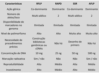Características RFLP RAPD SSR AFLP
Ação gênica Co-dominante Dominante Co-dominante Dominante
Número de
alelos/loco
Multi-alélico 2 Multi-alélico 2
Disponibilidade de
marcadores no
genoma
Ilimitada Ilimitada Ilimitada Ilimitada
Nível de polimorfismo Alto Alto Muito alto Muito alto
Necessidade de
procedimentos
prévios
Construção
bibliotecas
genômicas ou
cDNAs
Não há
Desenho de
primers
Não há
Concentração de DNA 10 mg 25 ng 50 ng 500 ng
Marcação radioativa Sim / não Não Não Sim / não
Reprodutibilidade Alta Média Alta Média
Investimento Alto Médio Alto Médio
 