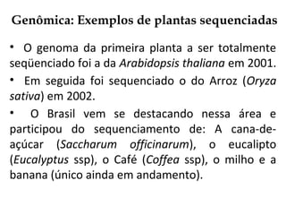 Genômica: Exemplos de plantas sequenciadas
• O genoma da primeira planta a ser totalmente
seqüenciado foi a da Arabidopsis thaliana em 2001.
• Em seguida foi sequenciado o do Arroz (Oryza
sativa) em 2002.
• O Brasil vem se destacando nessa área e
participou do sequenciamento de: A cana-de-
açúcar (Saccharum officinarum), o eucalipto
(Eucalyptus ssp), o Café (Coffea ssp), o milho e a
banana (único ainda em andamento).
 