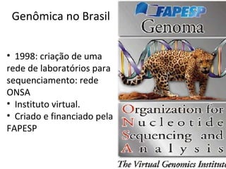 Genômica no Brasil
• 1998: criação de uma
rede de laboratórios para
sequenciamento: rede
ONSA
• Instituto virtual.
• Criado e financiado pela
FAPESP
 