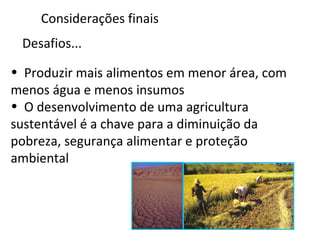 Desafios...
• Produzir mais alimentos em menor área, com
menos água e menos insumos
• O desenvolvimento de uma agricultura
sustentável é a chave para a diminuição da
pobreza, segurança alimentar e proteção
ambiental
Considerações finais
 