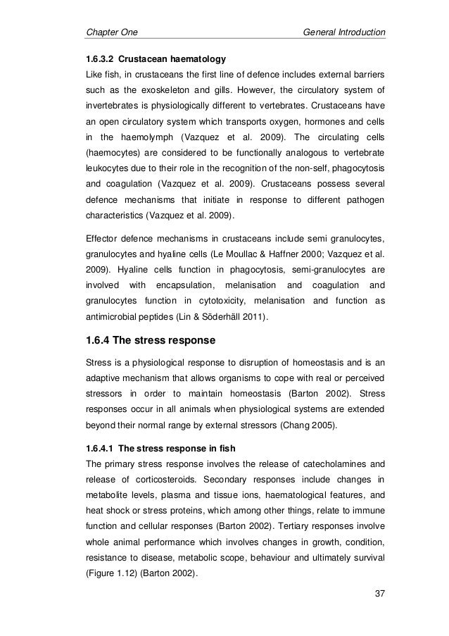 Americanah book free download picture