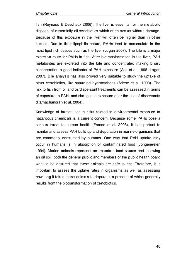 Ampalaya research proposal image