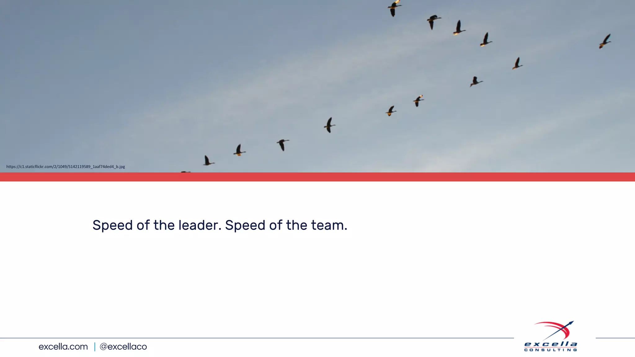 excella.com | @excellaco
Speed of the leader. Speed of the team.
https://c1.staticflickr.com/2/1049/5142119589_1aaf74ded4_b.jpg
 