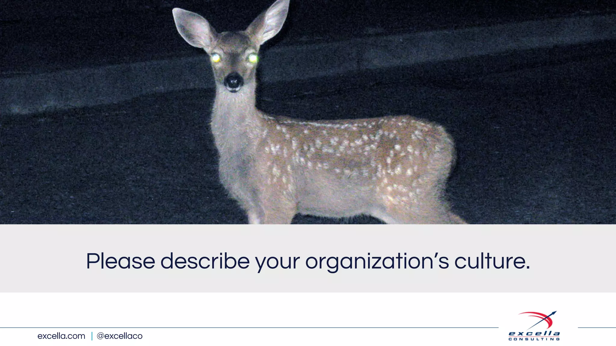 excella.com | @excellaco
Please describe your organization’s culture.
https://c1.staticflickr.com/2/1206/874357185_e02e570cdd_b.jpg
 