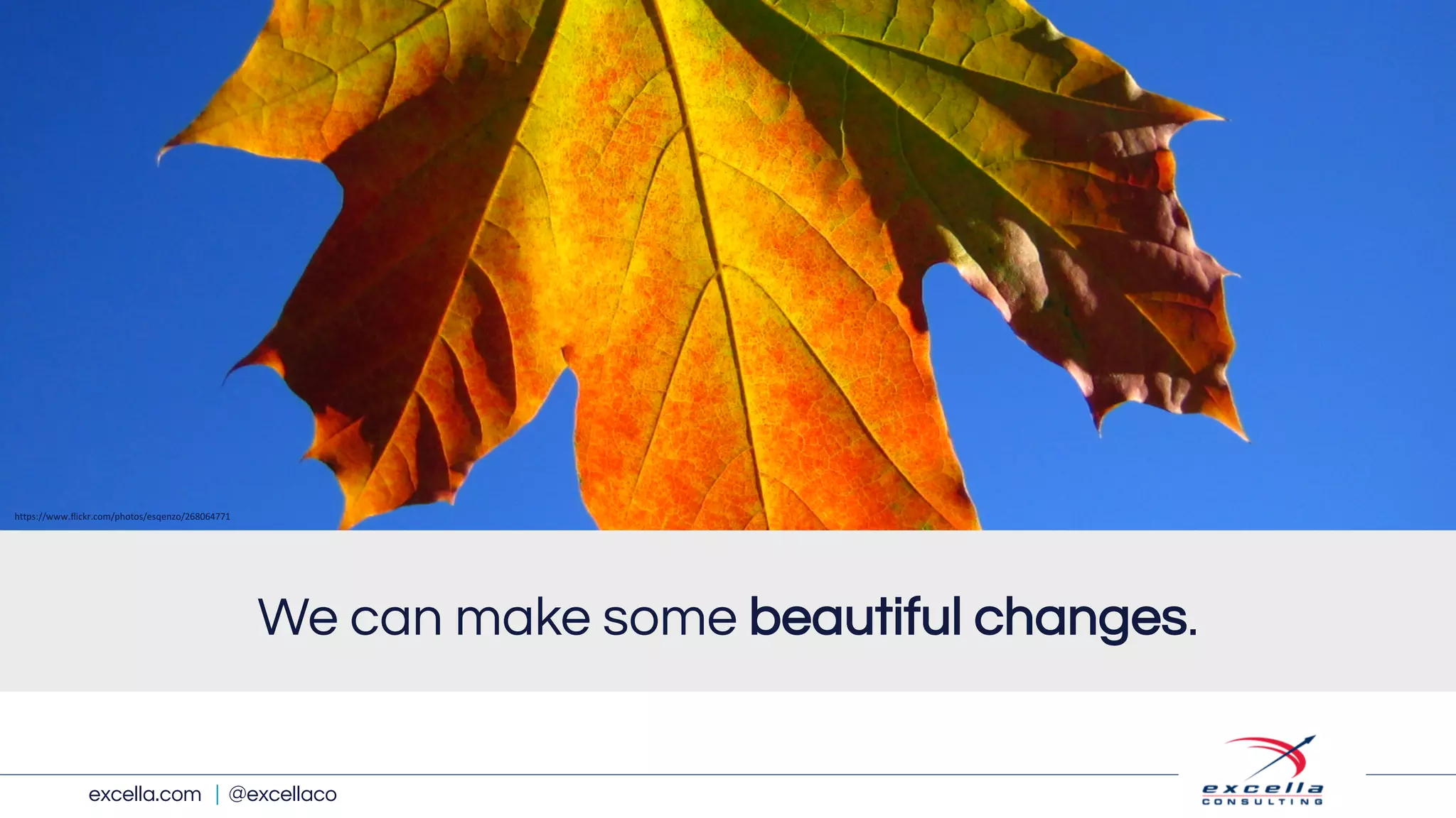 excella.com | @excellaco
We can make some beautiful changes.
https://www.flickr.com/photos/esqenzo/268064771
 