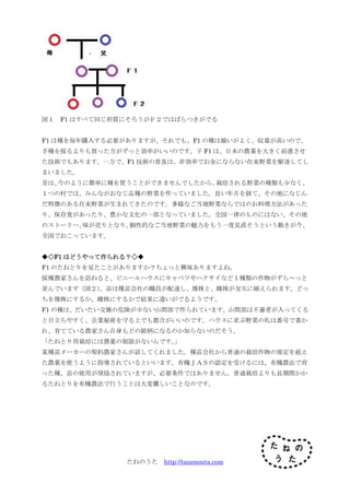 たねのうた http://tanenouta.com
図１ F1 はすべて同じ形質にそろうがＦ２ではばらつきがでる
F1 は種を毎年購入する必要がありますが、それでも、F1 の種は揃いがよく、収量が高いので、
手種を採るよりも買った方がずっと効率がいいのです。子 F1 は、日本の農業を大きく前進させ
た技術でもあります。一方で、F1 技術の普及は、非効率でお金にならない在来野菜を駆逐してし
まいました。
昔は、今のように簡単に種を買うことができませんでしたから、栽培される野菜の種類も少なく、
１つの村では、みんながおなじ品種の野菜を作っていました。長い年月を経て、その地になじん
だ特徴のある在来野菜が生まれてきたのです。多様なご当地野菜ならではのお料理方法があった
り、保存食があったり、豊かな文化の一部となっていました。全国一律のものにはない、その地
のストーリー、味が売りとなり、個性的なご当地野菜の魅力をもう一度見直そうという動きが今、
全国でおこっています。
◆◇F1 はどうやって作られる？◇◆
F1 のたねとりを見たことがありますか？ちょっと興味ありますよね。
採種農家さんを訪ねると、ビニールハウスにキャベツやハクサイなど１種類の作物がずら～っと
並んでいます（図２）。苗は種苗会社の職員が配達し、雄株と、雌株が交互に植えられます。どっ
ちを雄株にするか、雌株にするかで結果に違いがでるようです。
F1 の種は、だいたい交雑の危険が少ない山間部で作られています。山間部は不審者が入ってくる
と目立ちやすく、企業秘密を守る上でも都合がいいのです。ハウスに並ぶ野菜の札は番号で書か
れ、育てている農家さん自身もどの銘柄になるのか知らないのだそう。
「たねとり用栽培には農薬の制限がないんです。」
某種苗メーカーの契約農家さんが話してくれました。種苗会社から普通の栽培作物の規定を超え
た農薬を使うように指導されているといいます。有機ＪＡＳの認定を受けるには、有機農法で育
った種、苗の使用が奨励されていますが、必要条件ではありません。普通栽培よりも長期間かか
るたねとりを有機農法で行うことは大変難しいことなのです。
 