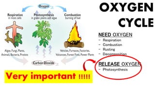 OXYGEN
CYCLE
NEED OXYGEN
- Respiration
- Combustion
- Rusting
- Decomposition
RELEASE OXYGEN
- Photosynthesis
Very important !!!!!
 