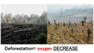 Deforestation= oxygen DECREASE
 